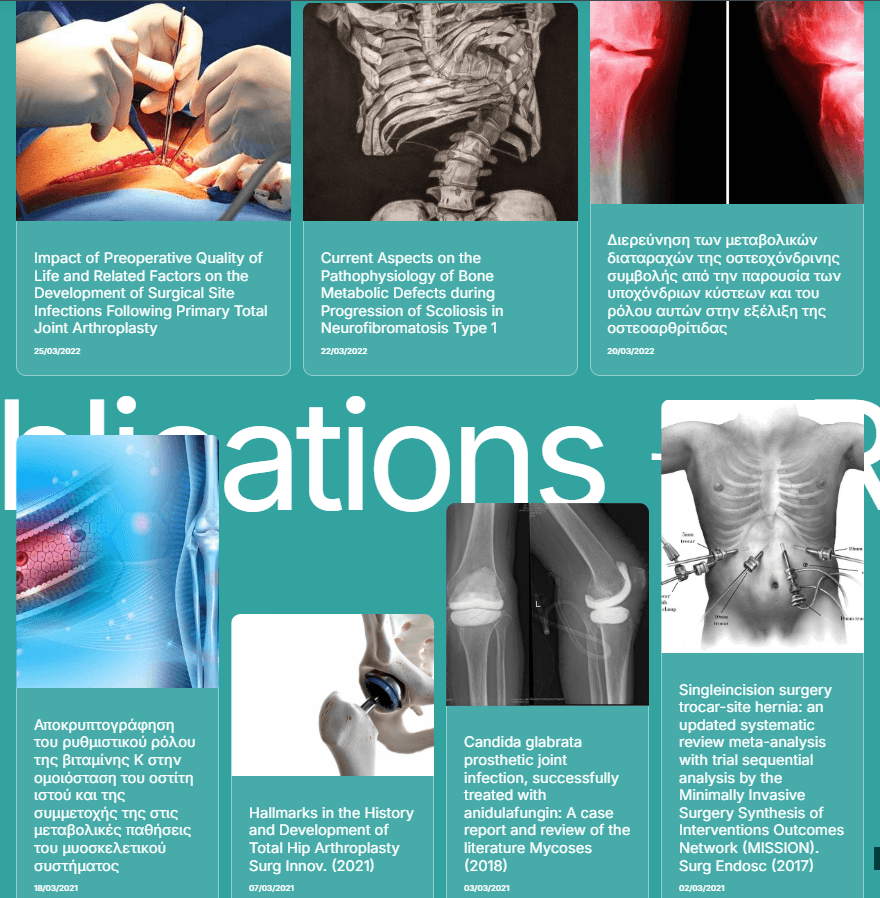 Driliopoulou website case study view 4
